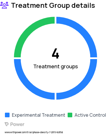 Obesity Research Study Groups: Control group, Intervention group A, Intervention group B, Intervention group C