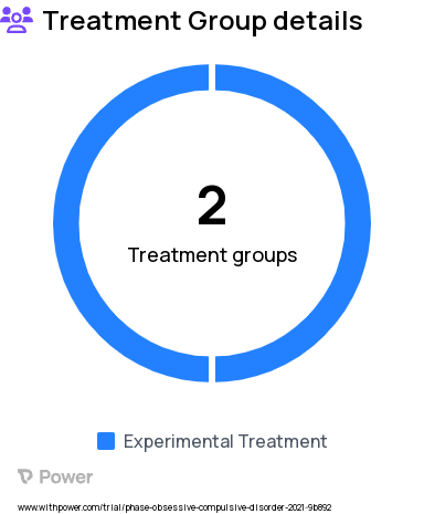 Mental Health Disorder Research Study Groups: Inhibitory Control/ Fear Extinction, Inhibitory Control/ Goal-Orientated vs Habit-Based Behavior