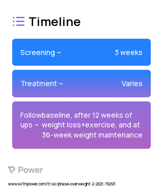Weight Maintenance 2023 Treatment Timeline for Medical Study. Trial Name: NCT04131647 — N/A