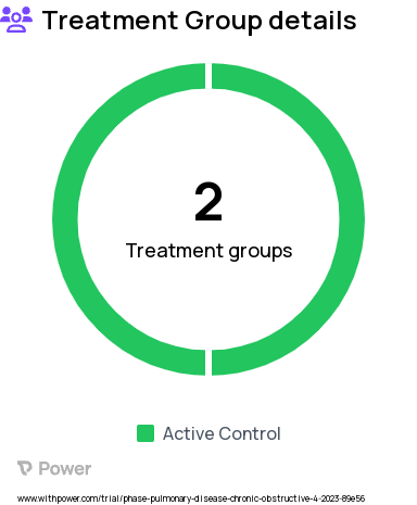 Chronic Obstructive Pulmonary Disease Research Study Groups: Pulmonologist led, Pharmacist led