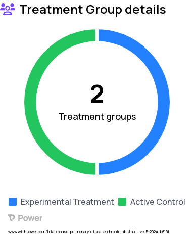 Chronic Obstructive Pulmonary Disease Research Study Groups: Mindful Steps, Usual Care