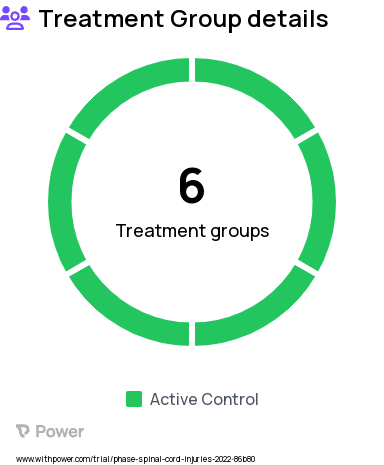 Spinal Cord Injury Research Study Groups: Continued M2M + SNS for 9 weeks, Augmented M2M + SNS + IBC for 9 weeks, Switched M2M Live for 9 weeks, Continued M2M + IBC for 6 weeks, Augmented M2M + SNS + IBC for 6 weeks, Switched M2M Live for 6 weeks