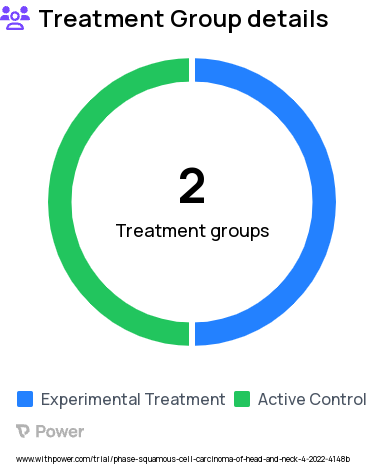 Head and Neck Squamous Cell Carcinoma Research Study Groups: Group B (standard symptom management), Group A (quality of life questionnaire)
