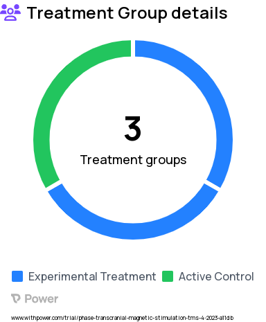 Transcranial Magnetic Stimulation Research Study Groups: FPl-TMS, MFG-TMS, S1-TMS