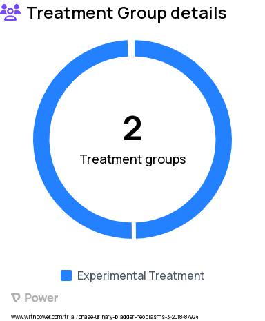 Bladder Cancer Research Study Groups: Extracorporeal Urinary Diversion (ECD), Intracorporal Urinary Diversion (ICD)