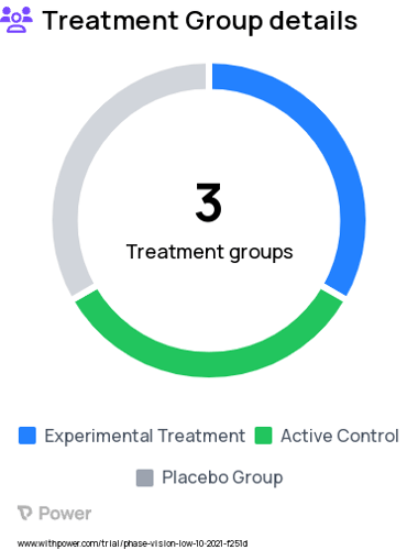 Low Vision Research Study Groups: Orientation and Mobility Training with VR-IOMSs, Orientation and Mobility Training with COMS, No Orientation and Mobility Training