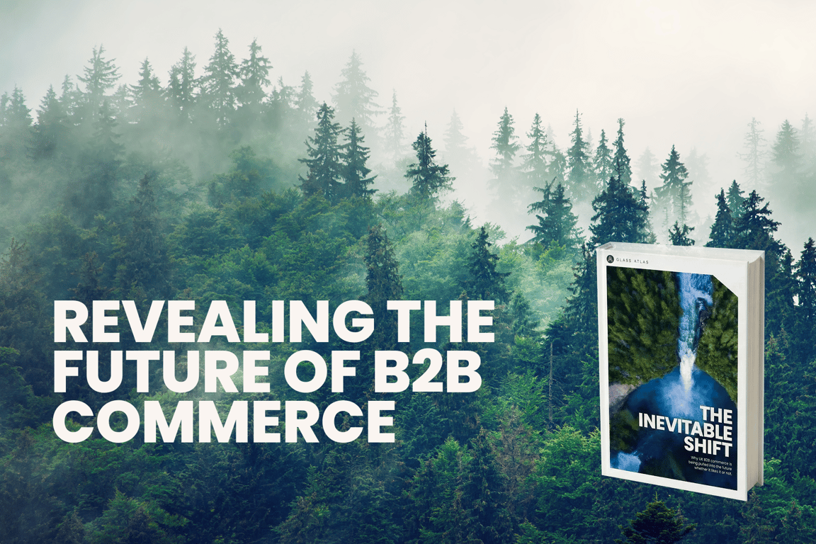banner with text: revealing the future of b2b commerce
