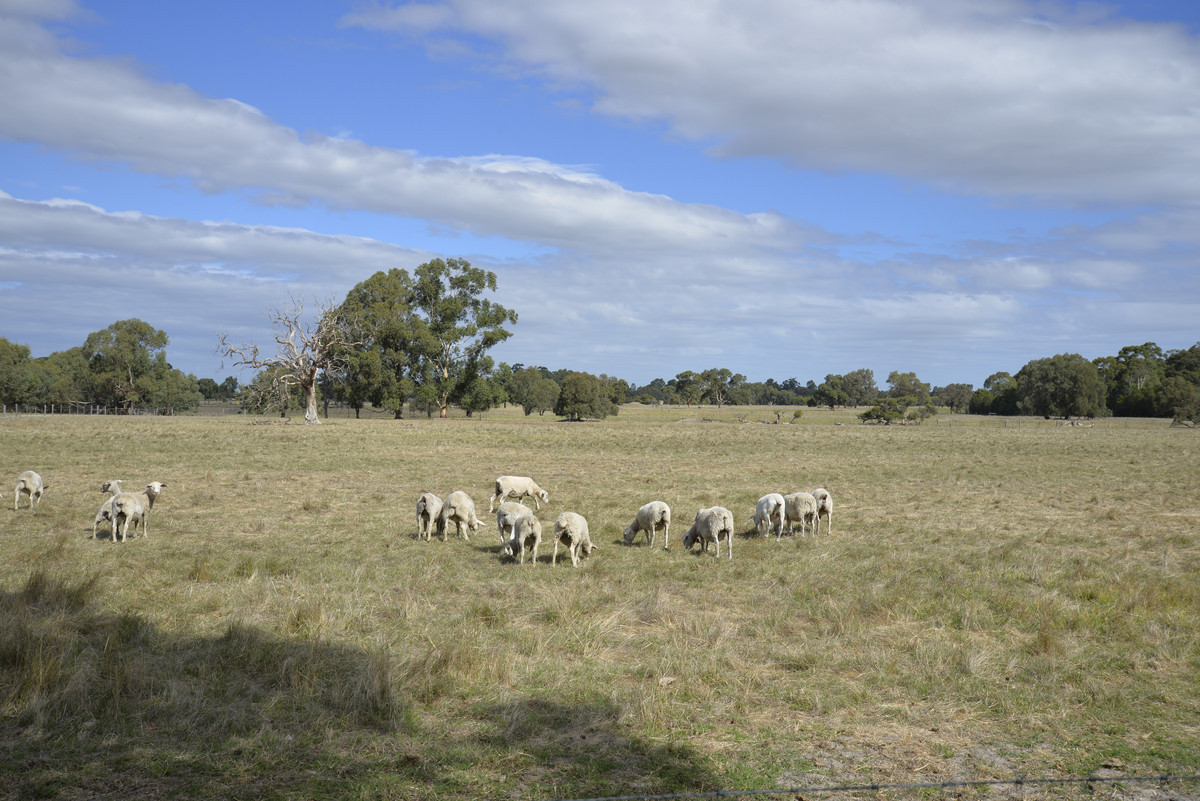 73 Strachan Road, Bullsbrook WA 6084