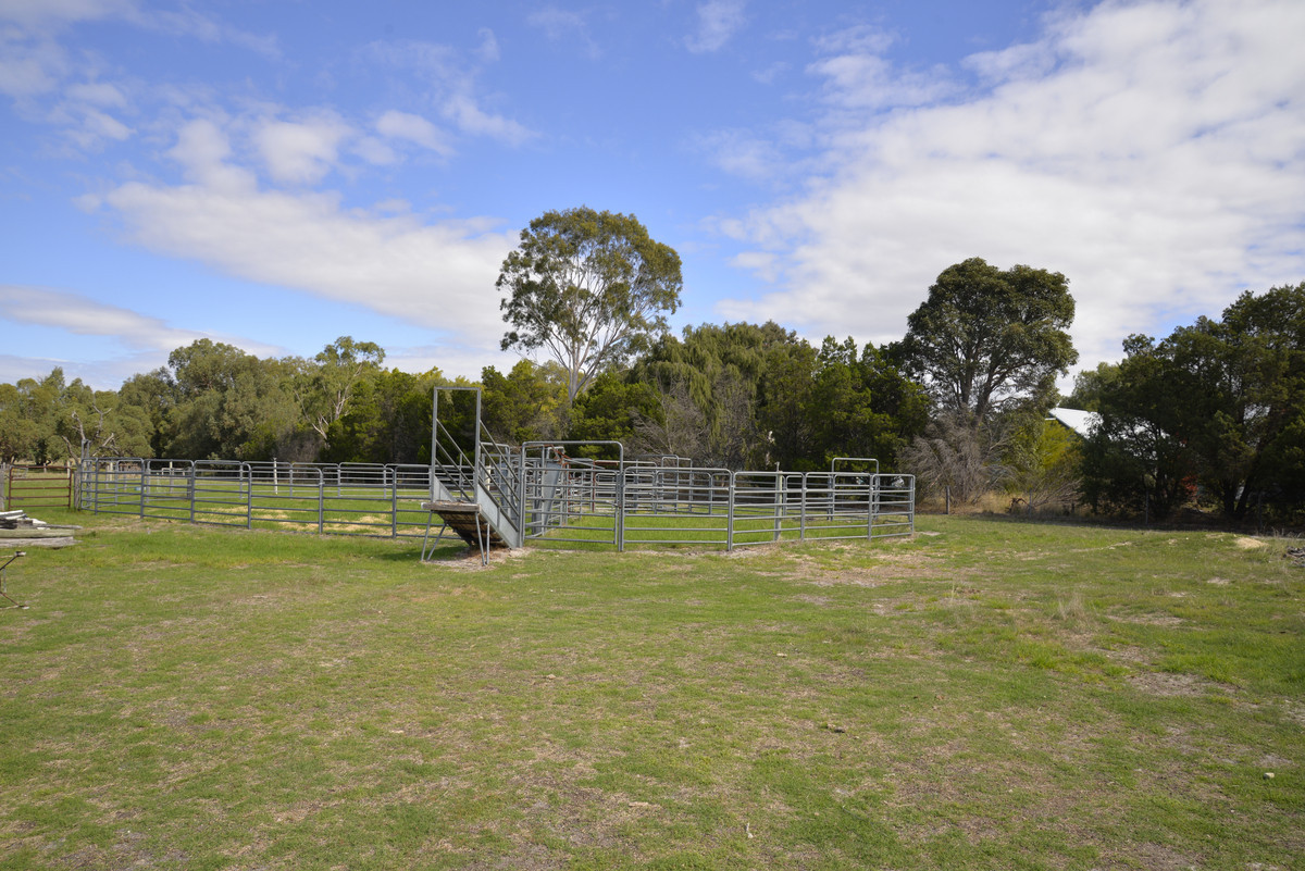 73 Strachan Road, Bullsbrook WA 6084