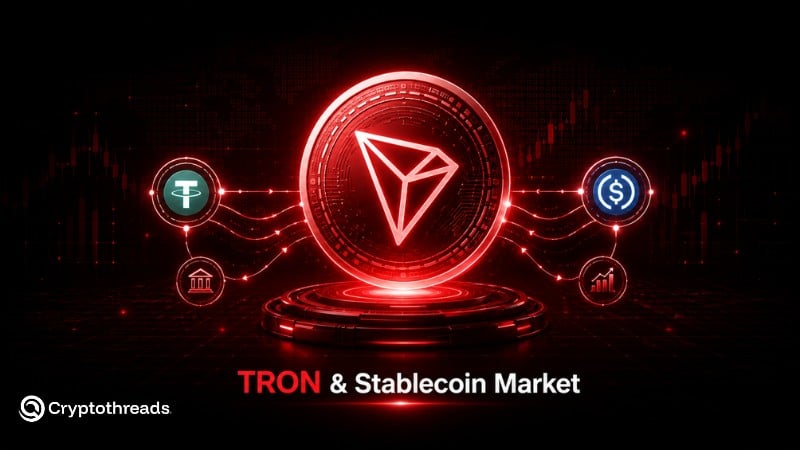TRON and Stablecoin Market Structure