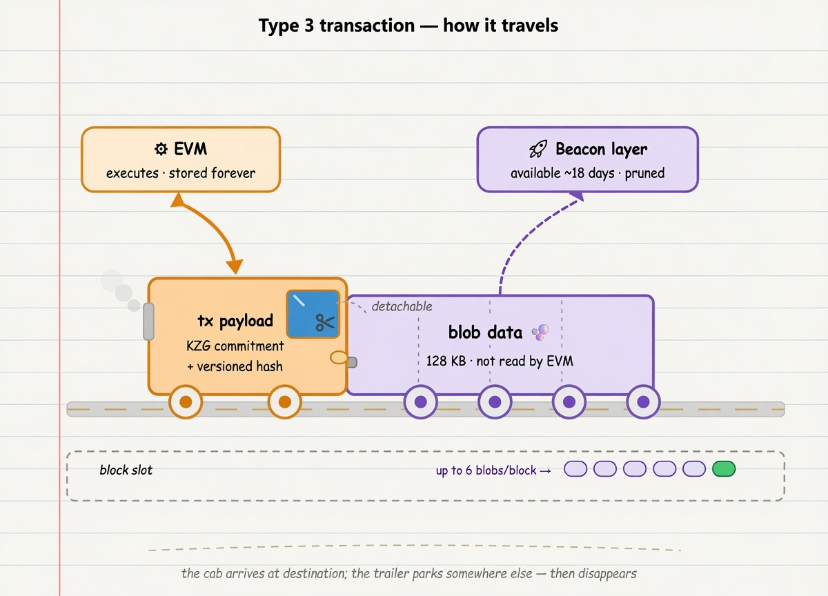 how proto-danksharding works