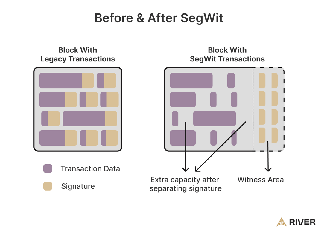 SegWit in a block. Source: River Financial