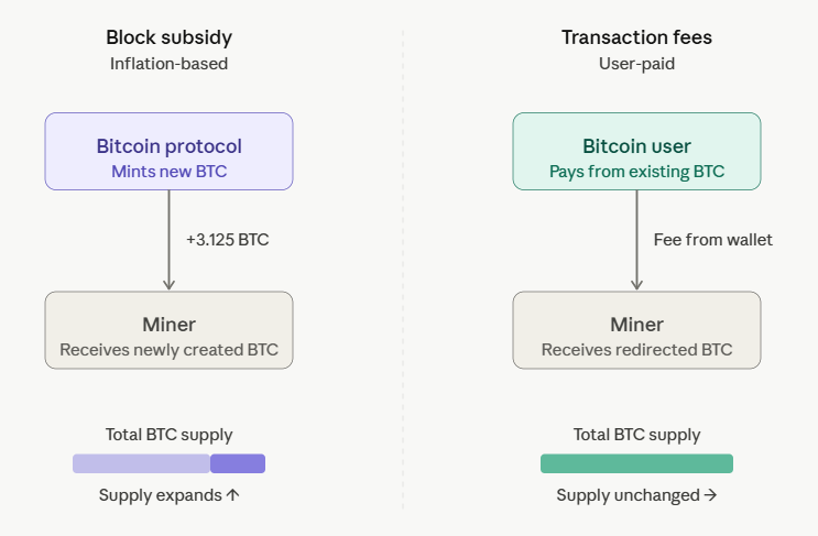 bitcoin block rewards vs transaction fees comparison