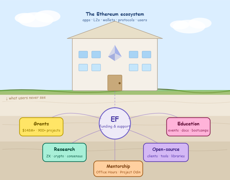 how does the ethereum foundation support developers