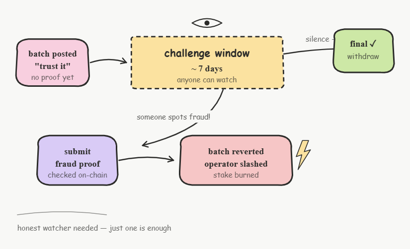 how optimistic rollups are verified on layer 1