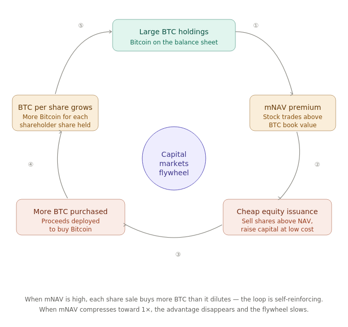 long-term btc appreciation as core thesis