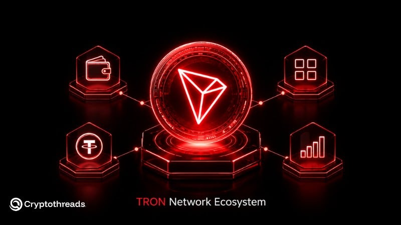 The TRON network ecosystem includes stablecoin transfers