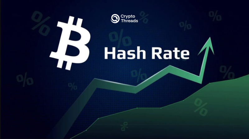 How Bitcoin Hashrate Reacts to Price Shocks