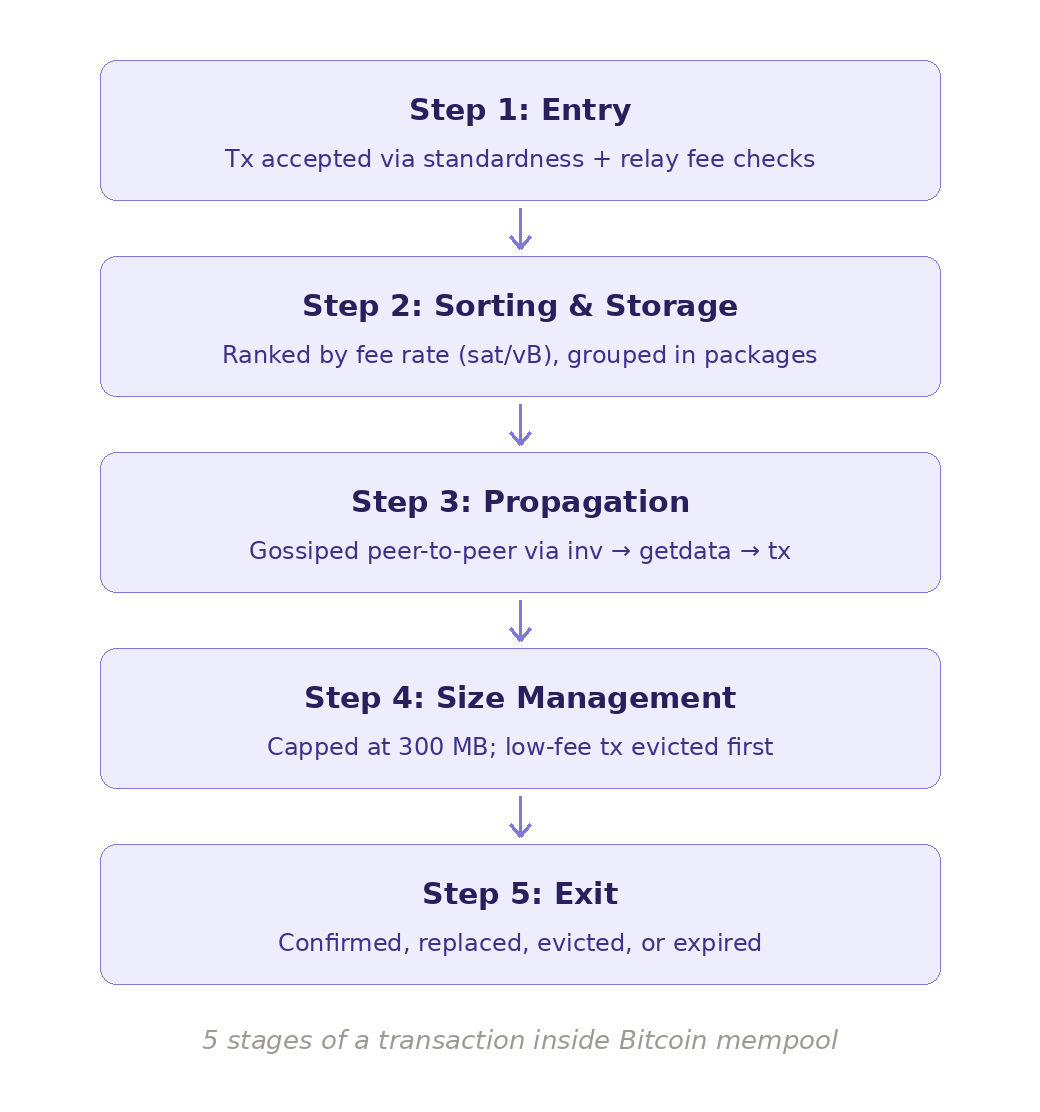 how the bitcoin mempool works