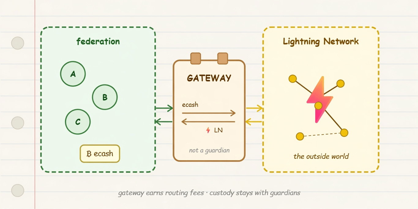 fedimint lightning gateways