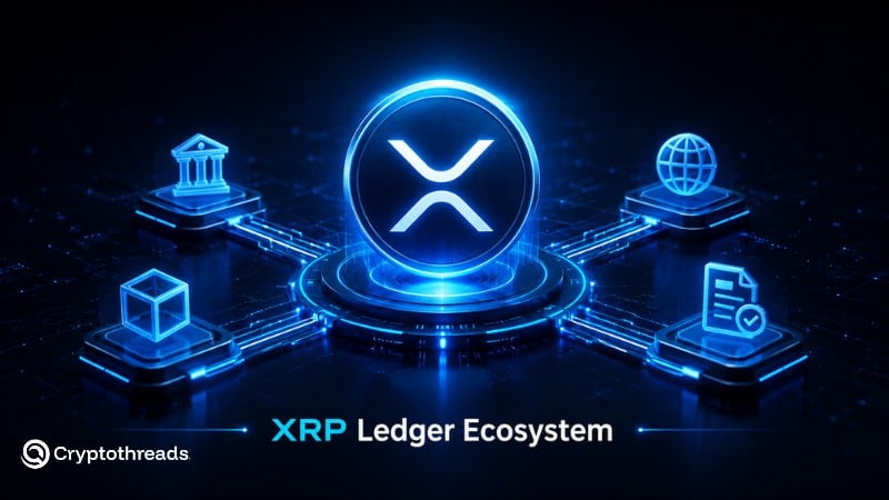 The XRP Ledger ecosystem is broader than simple XRP transfers.