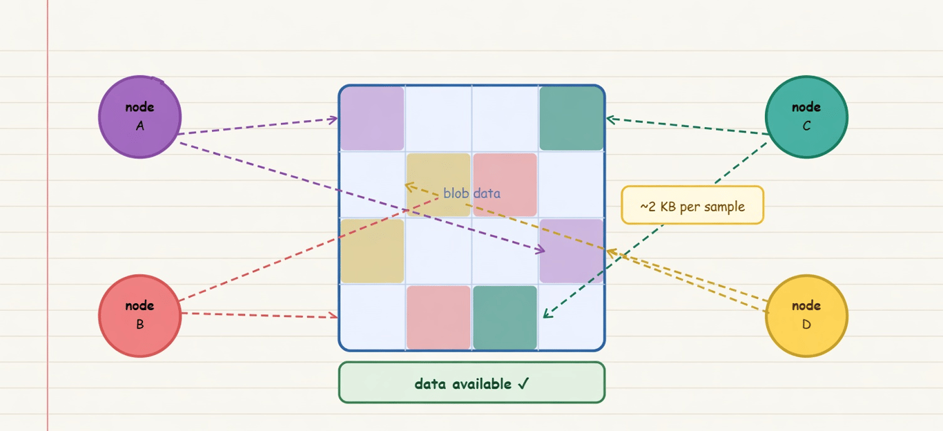 data availability sampling