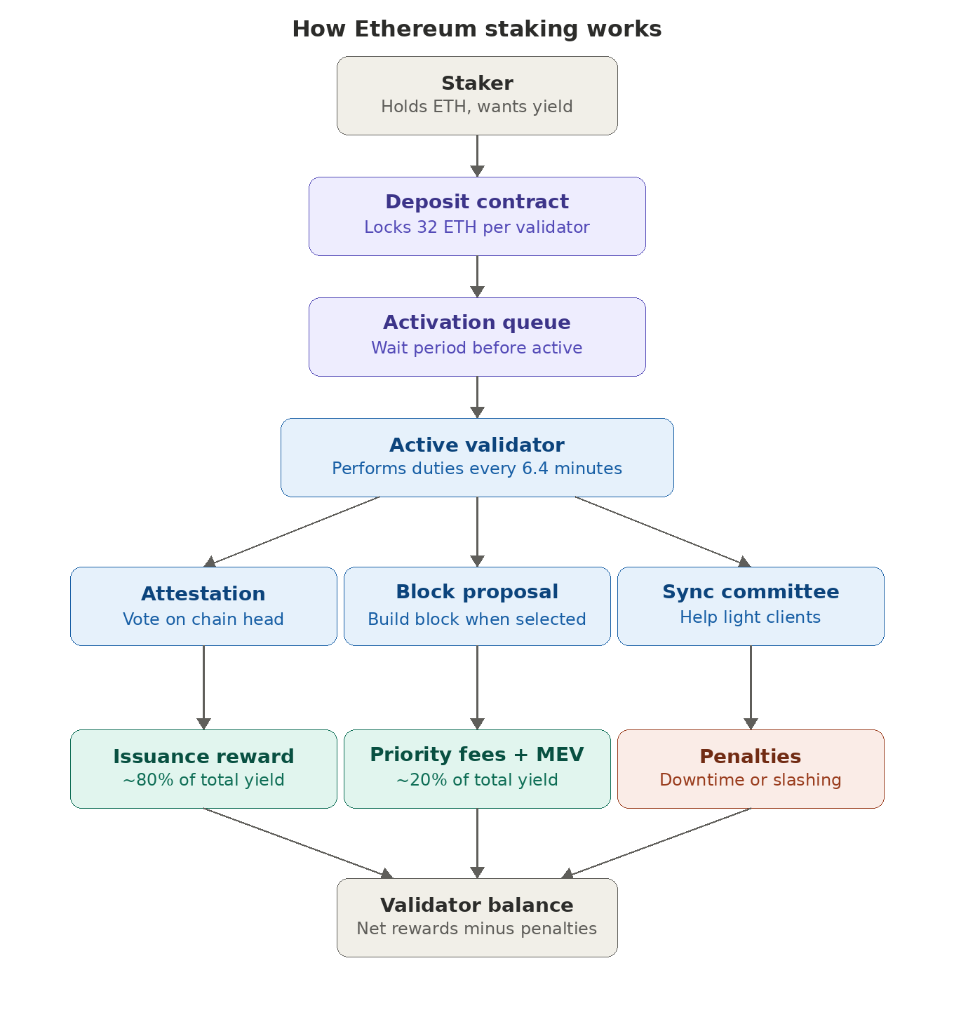 how ethereum staking works