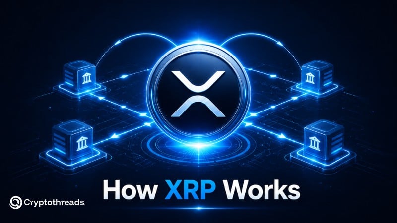 How XRP Works