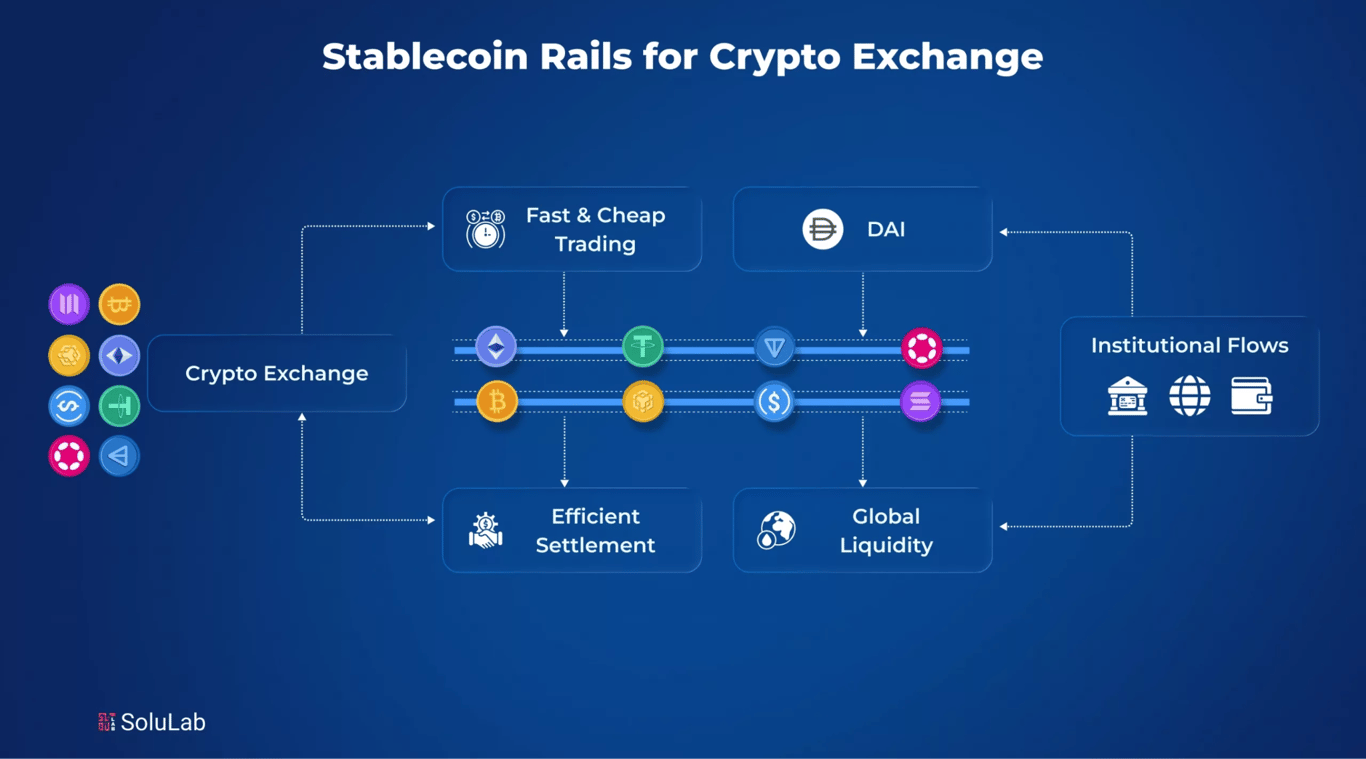 inforgarphic about stablecoin rails