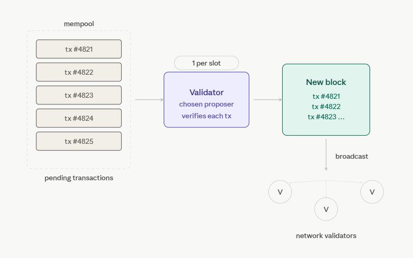 how does an ethereum validator work