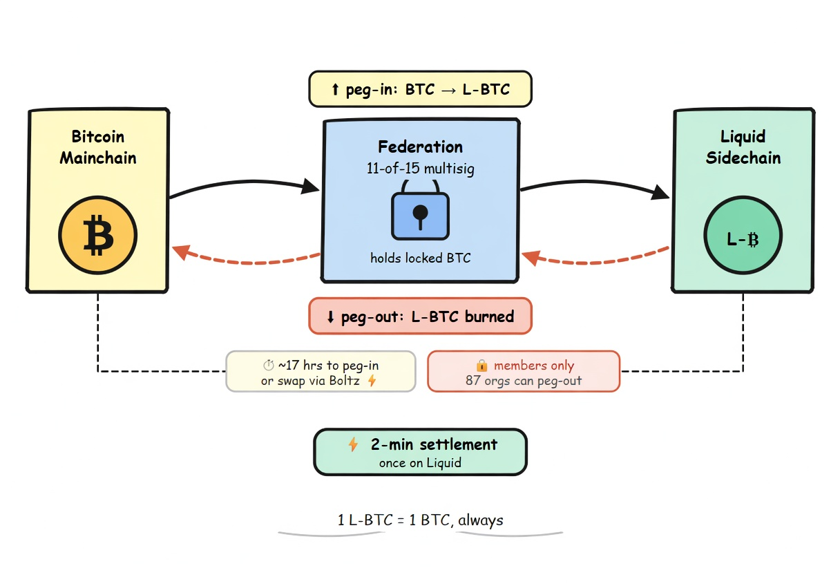 how does liquid network work