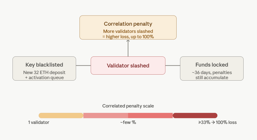 what happens after a validator is slashed