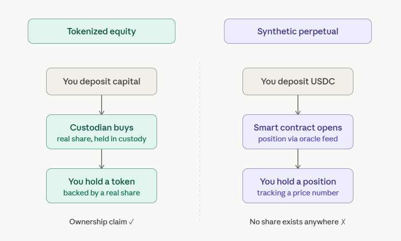 differences between tokenized equity and synthetic perpetuals