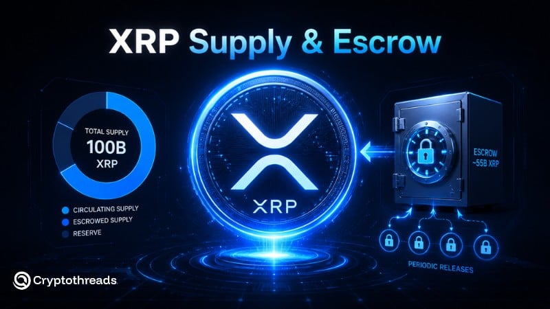 XRP tokenomics are shaped by fixed supply, transaction fee burns, and Ripple-related escrow dynamics.
