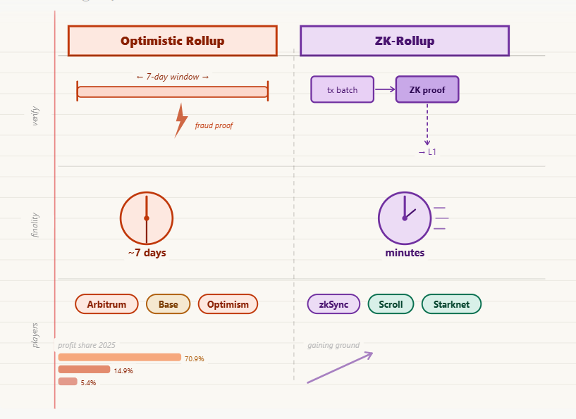 optimistic vs zk-rollups who's building the network