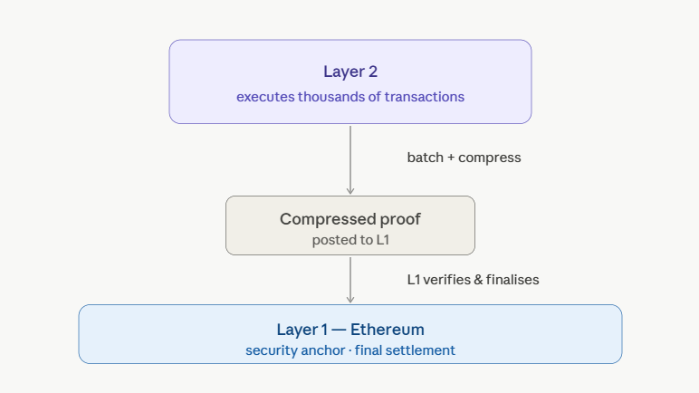 what is a layer 2
