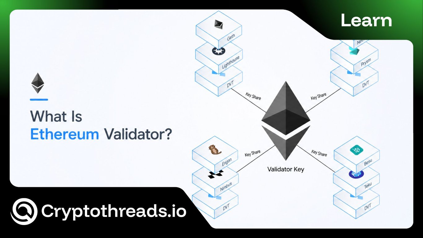 Ethereum Validator: The Backbone of Network Security