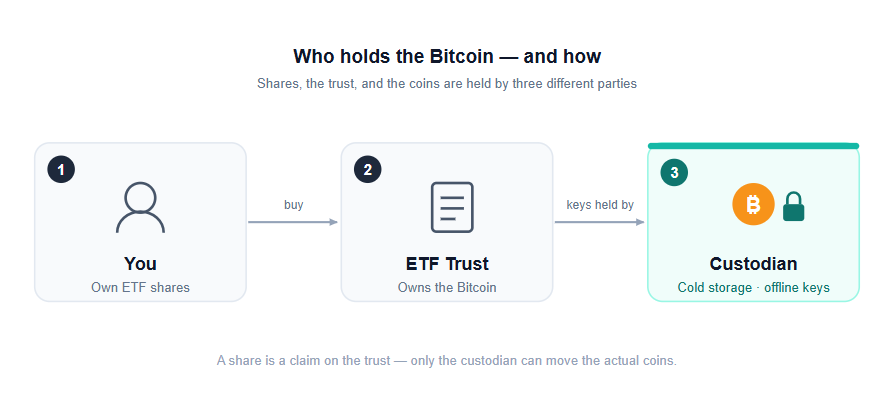 who holds the bitcoin behind spot bitcoin etfs