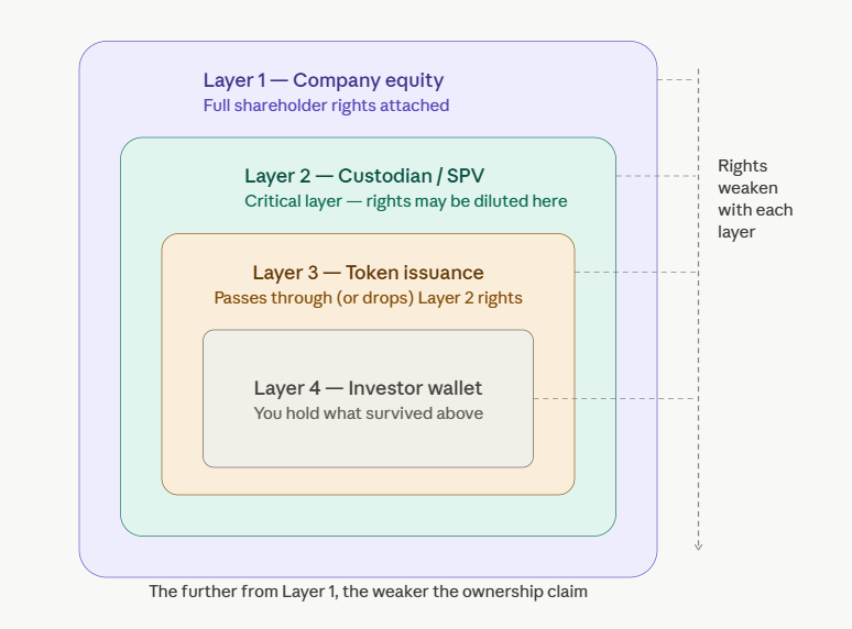how tokenized equity ownership is structured
