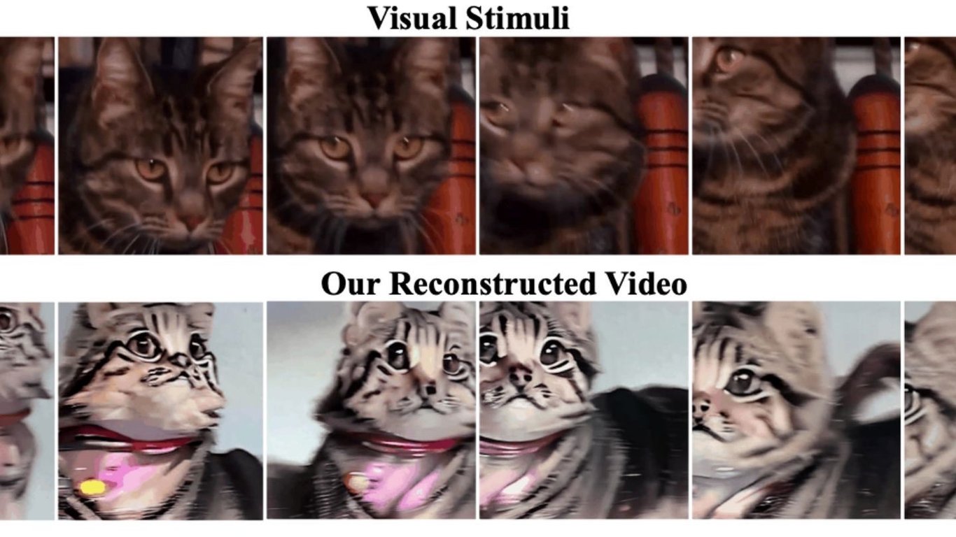 AI Reconstructs 'High-Quality' Video Directly from Brain Readings in Study