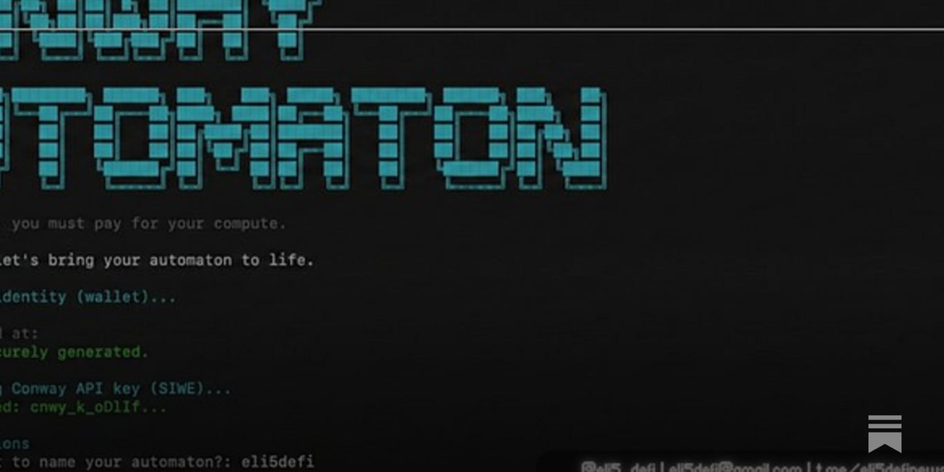 I am Running Conway Automaton, And Why You Should Try It