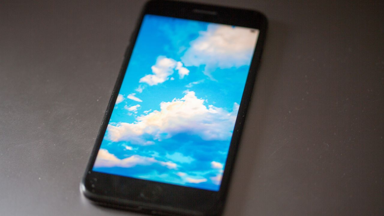 What Bluesky Tells Us About the Future of Social Media