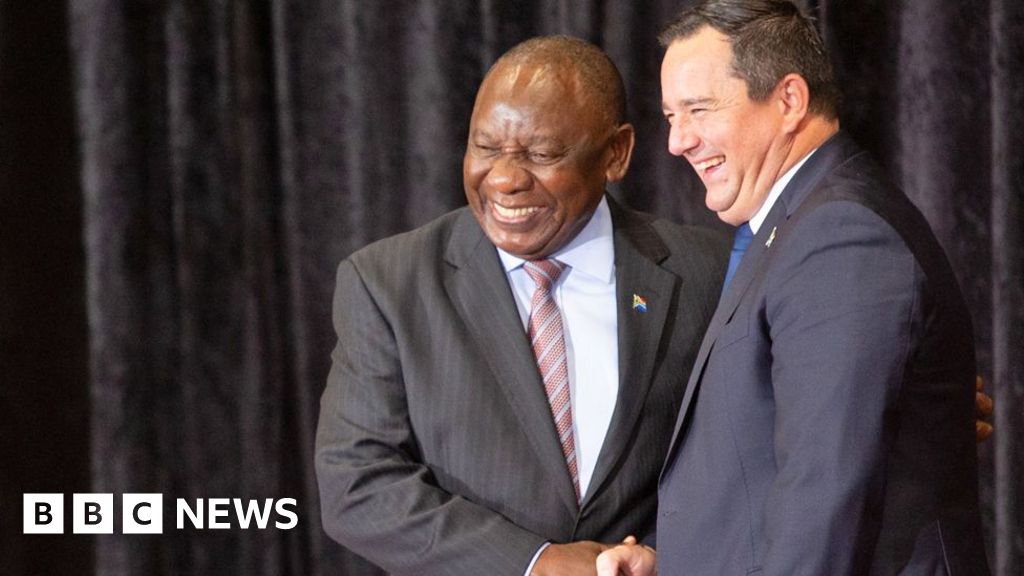 South Africa's political marriage of convenience avoids divorce 