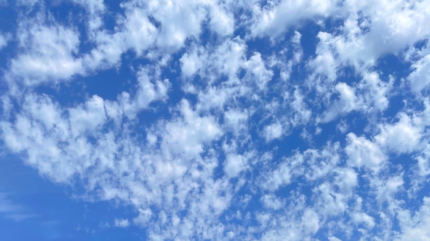 Bluesky says it will allow users to opt out of public interface after backlash