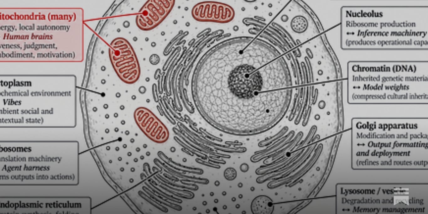 Our Eukaryotic Moment