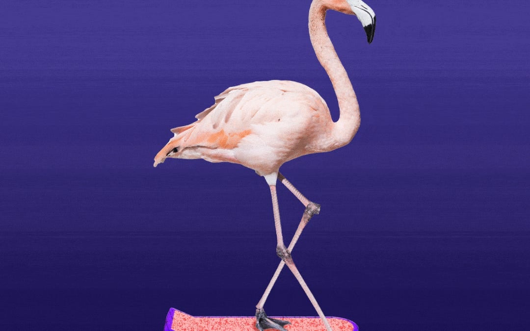 🦩All You Need To Know About Flamingo DAO