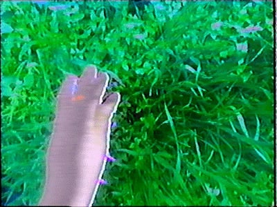 Virtual grass to prevent you from touching grass this weekend