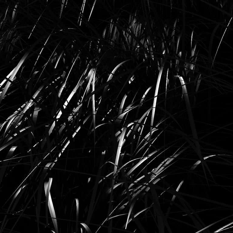 field - leander herzog