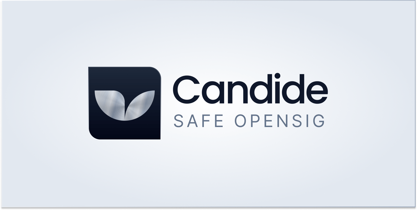 Safe OpenSig. See What You're Actually Signing.