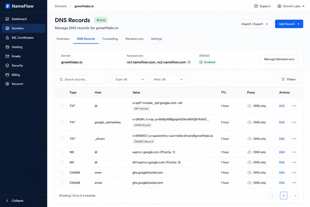 DNS records management interface showing SPF, DKIM, and DMARC TXT records for a secondary domain